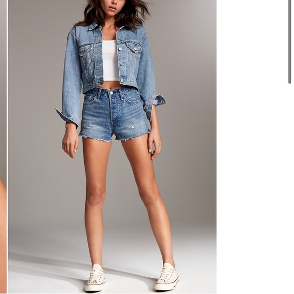 Aritzia Denim Forum Yoko Shorts 